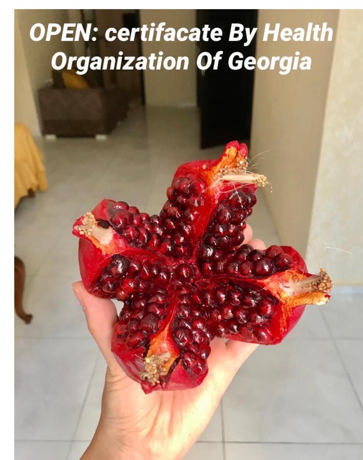Pomegranate Hotel Кутаиси Екстериор снимка